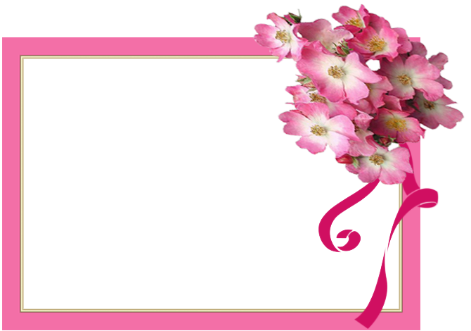 6 رقم مجموعة الصور