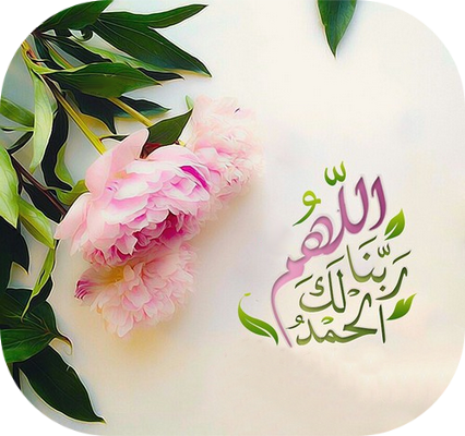 3 رقم مجموعة الصور