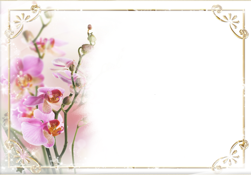 صور خلفيات فاضيه - KibrisPDR
