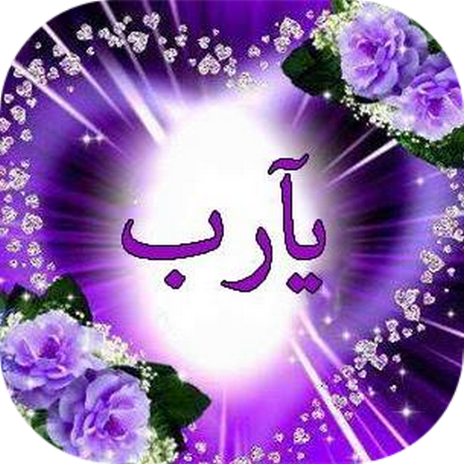 8 رقم مجموعة الصور