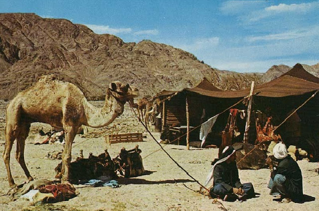 صور خيام - KibrisPDR