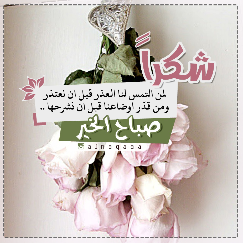 8 رقم مجموعة الصور