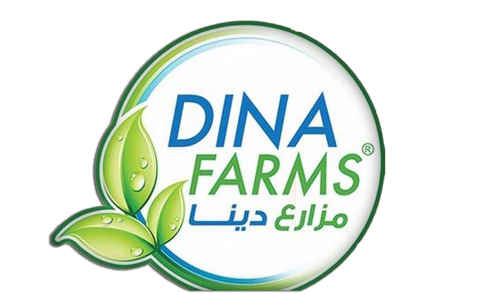 6 رقم مجموعة الصور
