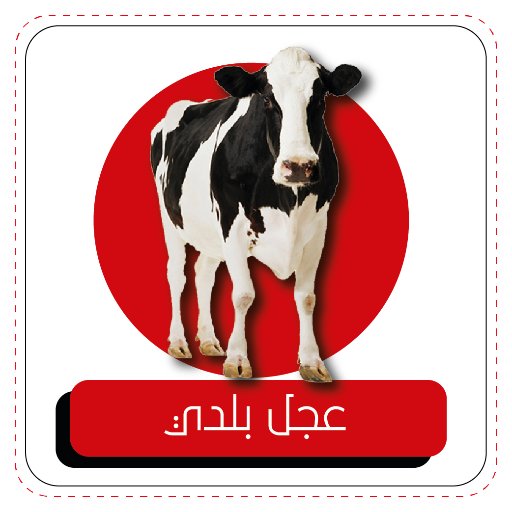 10 رقم مجموعة الصور