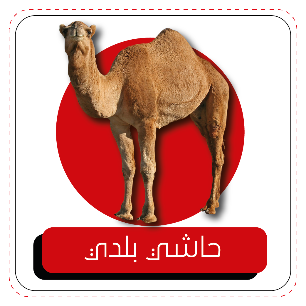 9 رقم مجموعة الصور
