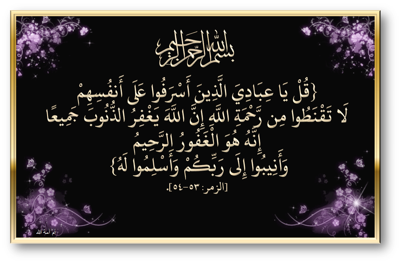 10 رقم مجموعة الصور