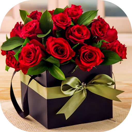 13 رقم مجموعة الصور