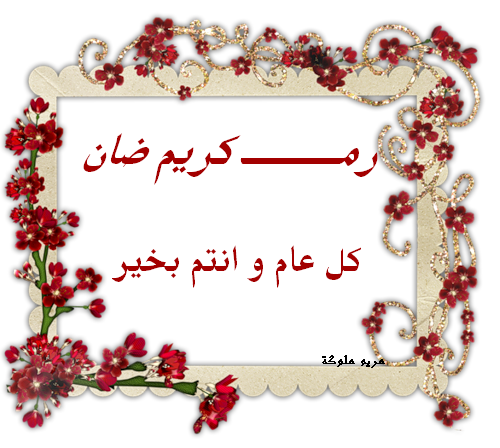 11 رقم مجموعة الصور