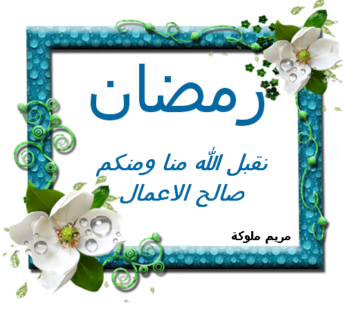 7 رقم مجموعة الصور