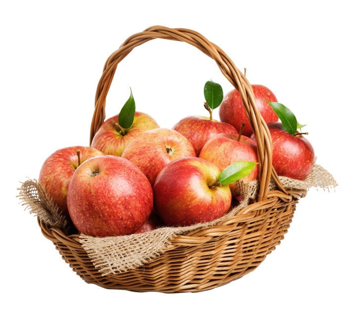 12 رقم مجموعة الصور