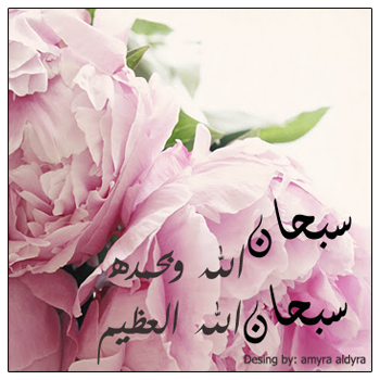 15 رقم مجموعة الصور