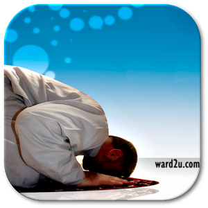 8 رقم مجموعة الصور