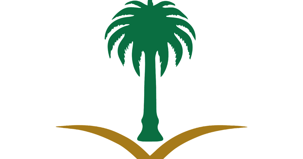 11 رقم مجموعة الصور