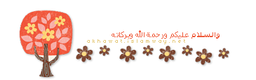 11 رقم مجموعة الصور