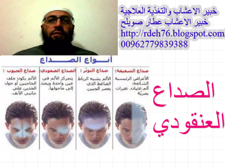 3 رقم مجموعة الصور