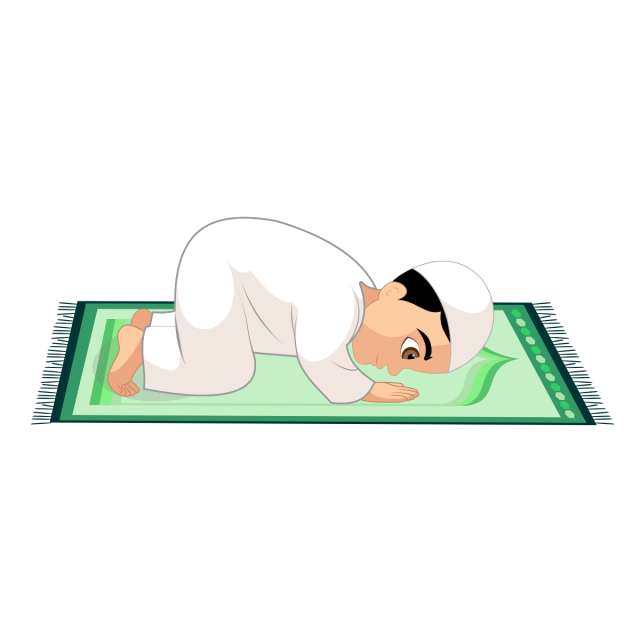 11 رقم مجموعة الصور