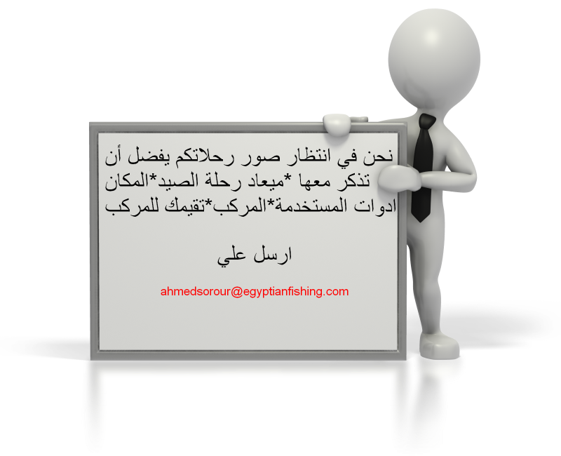 14 رقم مجموعة الصور