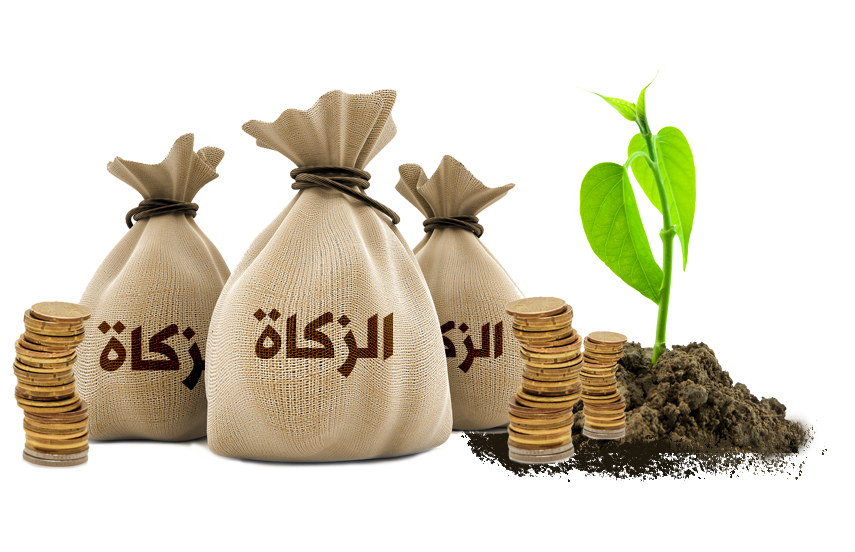 17 رقم مجموعة الصور