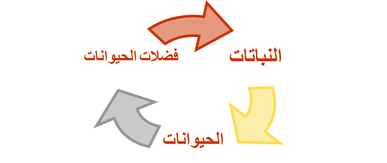 18 رقم مجموعة الصور