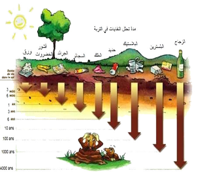 5 رقم مجموعة الصور