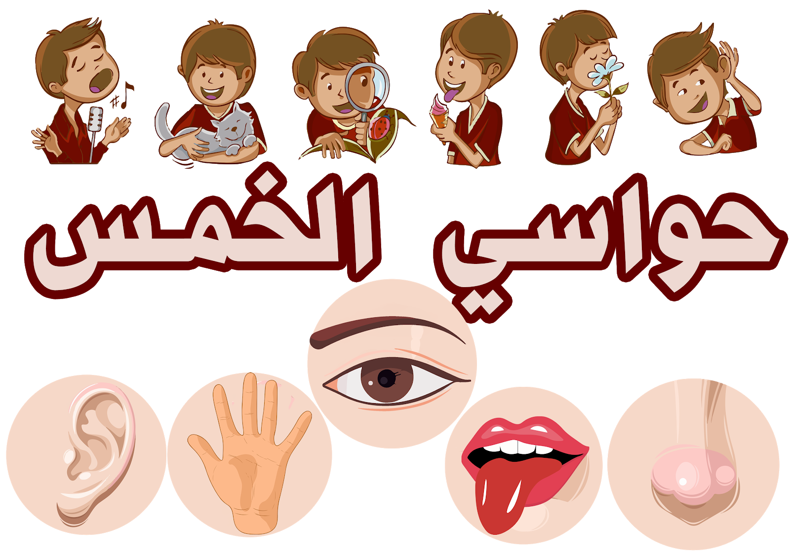 15 رقم مجموعة الصور