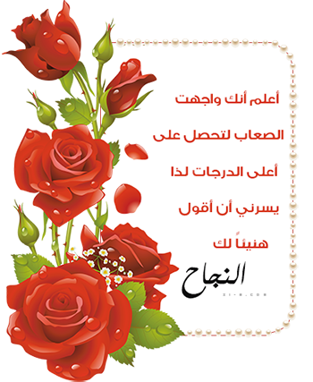 6 رقم مجموعة الصور