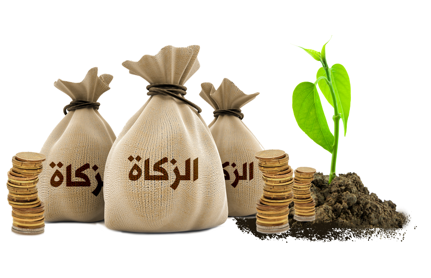 15 رقم مجموعة الصور