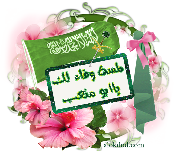 8 رقم مجموعة الصور