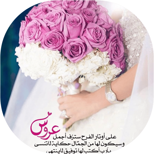6 رقم مجموعة الصور