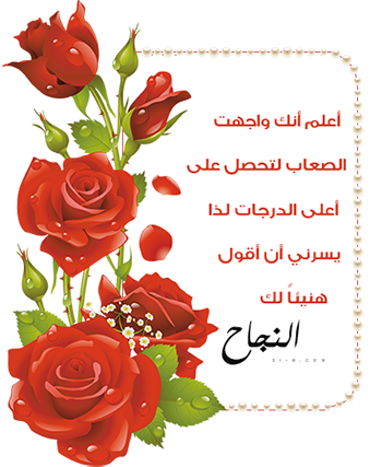 13 رقم مجموعة الصور