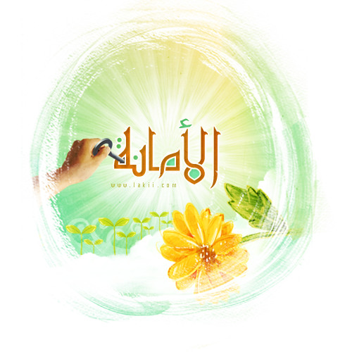 9 رقم مجموعة الصور
