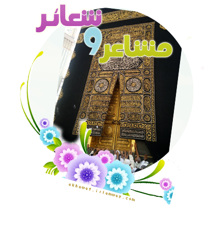 10 رقم مجموعة الصور