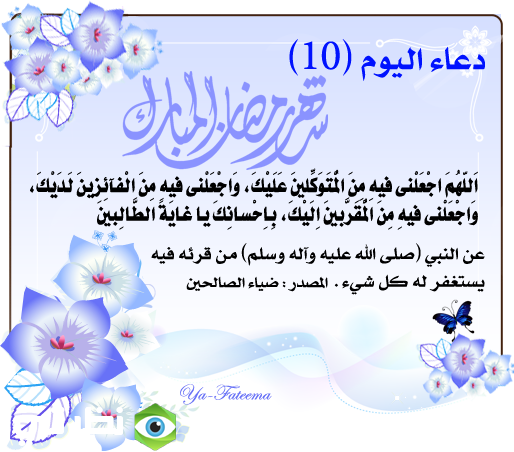 6 رقم مجموعة الصور