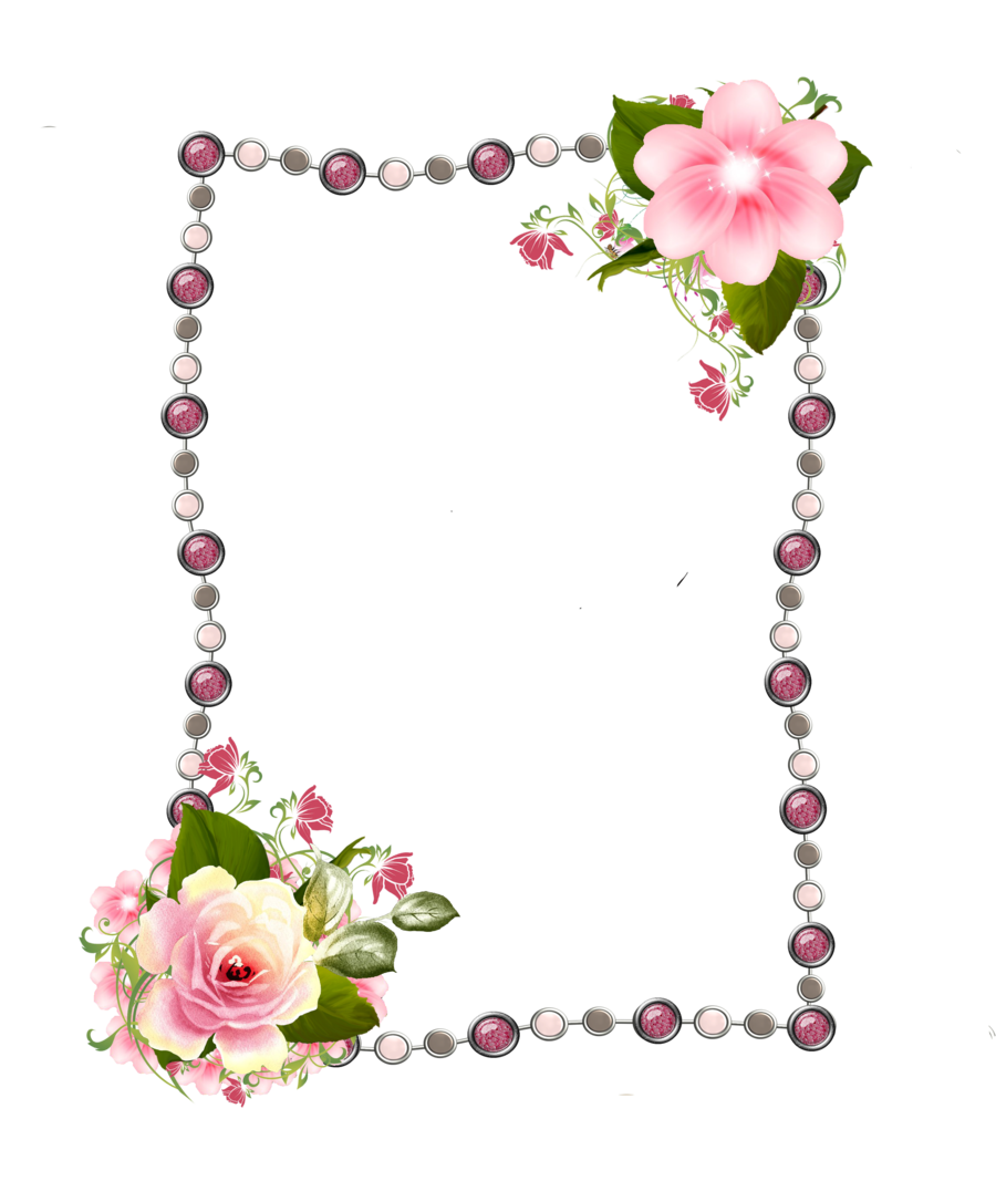 14 رقم مجموعة الصور