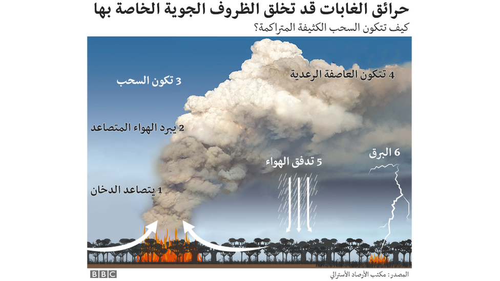 12 رقم مجموعة الصور