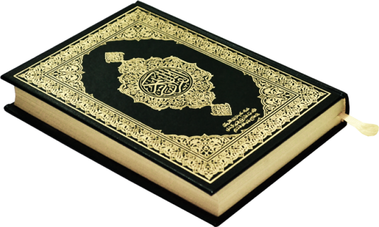10 رقم مجموعة الصور