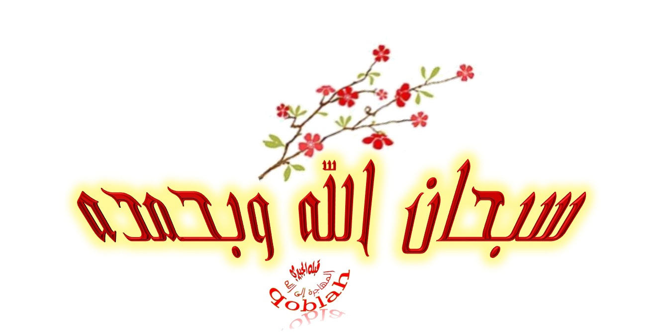 12 رقم مجموعة الصور