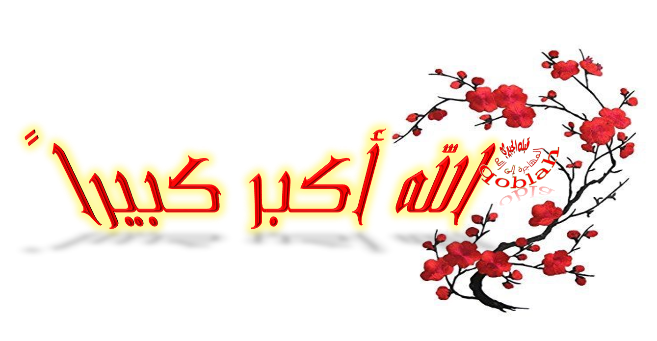13 رقم مجموعة الصور