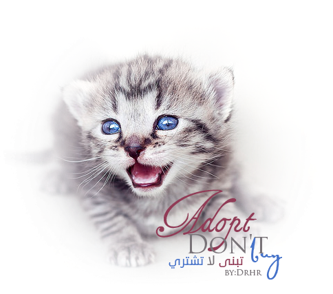 2 رقم مجموعة الصور