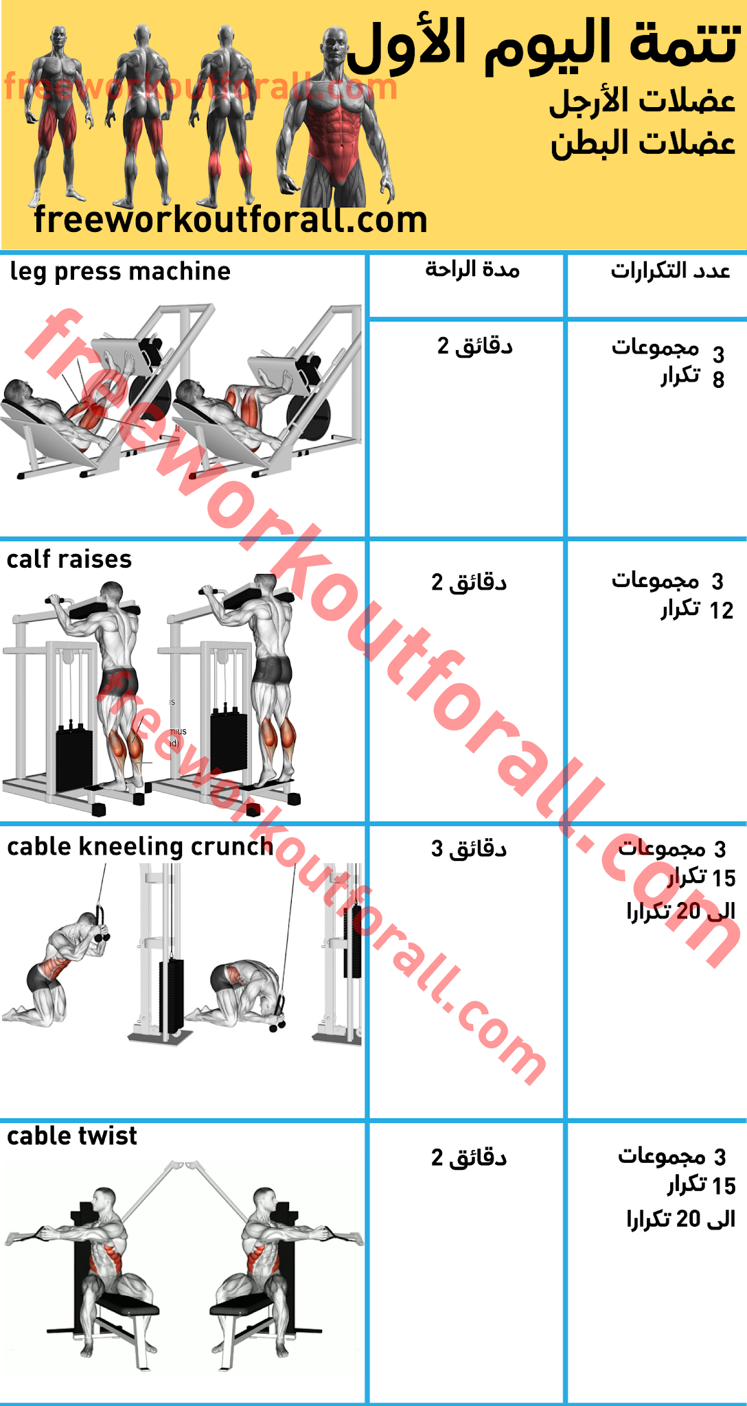 12 رقم مجموعة الصور