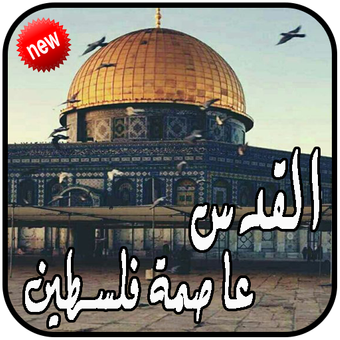 9 رقم مجموعة الصور