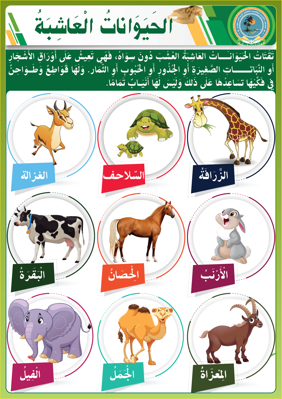 صور لجميع الحيوانات - KibrisPDR