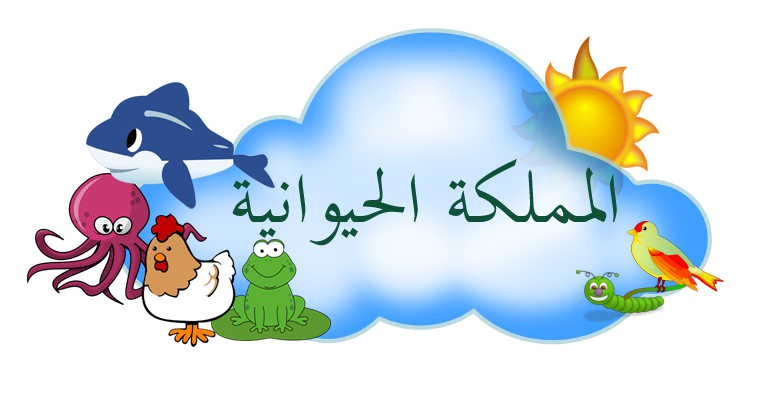 8 رقم مجموعة الصور