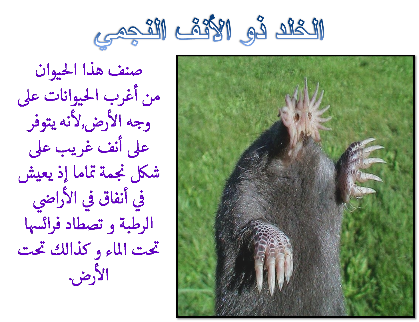 9 رقم مجموعة الصور