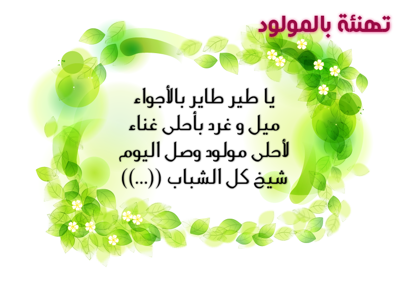 4 رقم مجموعة الصور