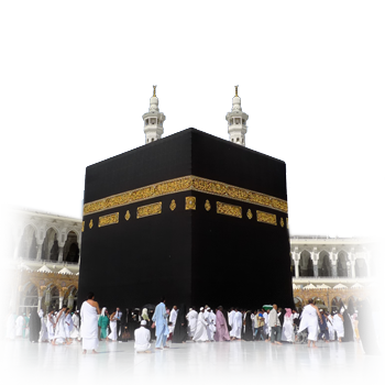 11 رقم مجموعة الصور