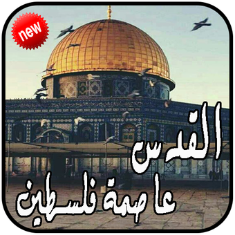 5 رقم مجموعة الصور
