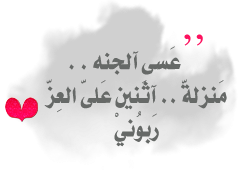 14 رقم مجموعة الصور