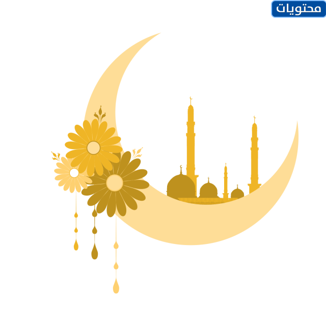 15 رقم مجموعة الصور