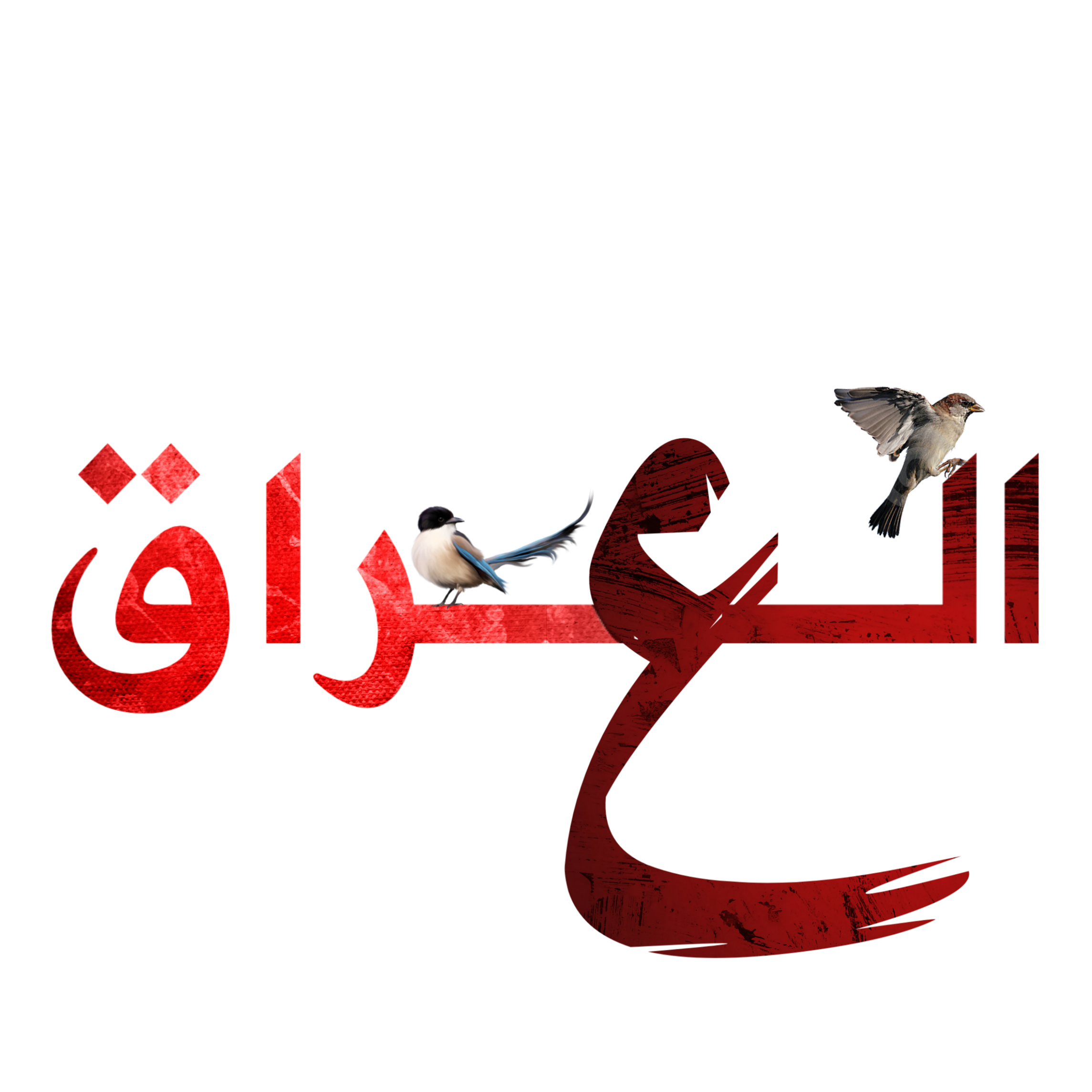 15 رقم مجموعة الصور